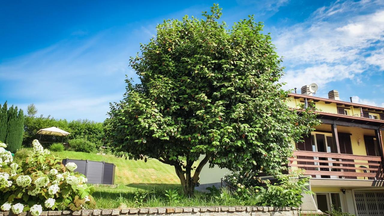 Gardenpark Soleil Villa Nebbiuno Dış mekan fotoğraf